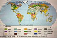 Robinson Projection
Scale 1:130,000,000
Soil Orders
Alfisols
Entisols
Inceptisols
Spodosols
Rocky land
Andisols
Gelisols
Mollisols
Ultisols
Shifting sand
Aridisols
Histosols
Oxisols
Vertisols
Icelglacier
Figure 12.10 on page 276 shows a map of the soil orders of the world.
