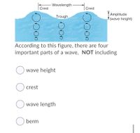 Wavelength
Crest
Crest
Amplitude
- (wave height)
Trough
According to this figure, there are four
important parts of a wave, NOT including
O wave height
O crest
O wave length
O berm
