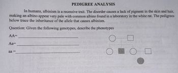 PEDIGREE ANALYSIS
In humans, albinism is a recessive trait. The disorder causes a lack of pigment in the skin and hair,
making an albino appear very pale with common albino found in a laboratory in the white rat. The pedigrees
below trace the inheritance of the allele that causes albinism.
Question: Given the following genotypes, describe the phenotypes
AA=
Aa=
aa =