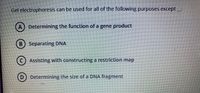 Gel electrophoresis can be used for all of the following purposes except
A) Determining the function of a gene product
B Separating DNA
(c) Assisting with constructing a restriction map
(D) Determining the size of a DNA fragment
