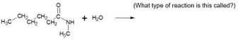 CH2 CH2 C.
H3C CH2 CH2 NH
H3C
+ H₂O
(What type of reaction is this called?)