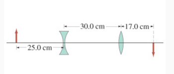 25.0 cm
-30.0 cm-
17.0 cm-