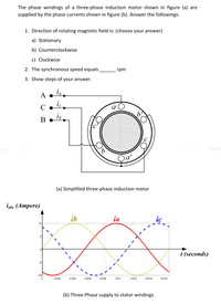 Three-Phase Induction Motor Solution