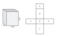 A
В
E
D
5 in
10 in
12 in
LL
