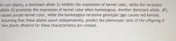 In corn plants, a dominant allele (1) inhibits the expression of kernel color, while the recessive
allele (1) promotes the expression of kernel color when homozygous. Another dominant allele, (P),
causes purple kernel color, while the homozygous recessive genotype (pp) causes red kernels.
Assuming that these alleles assort independently, predict the phenotypic ratio of the offspring if
two plants dihybrid for these characteristics are crossed.