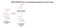 SHOW/IDENTIFY the arrow pushing mechanism in at least 4 steps.
CH,OPO?-
| 3*
C=0
2
HO-CH2
1
CH,OPO
| 1
C=0
2
Dihydroxyacetone
phosphate (DHAP)
Но—С
H
3
aldolase
+
Н—С-—ОН
H
Н-С-—ОН
15
CH-ОРО
6.
Н—С—ОН
CH,OPO
Fructose-
1,6-bisphosphate
(FBP)
Glyceraldehyde-
3-phosphate
(GAP)
