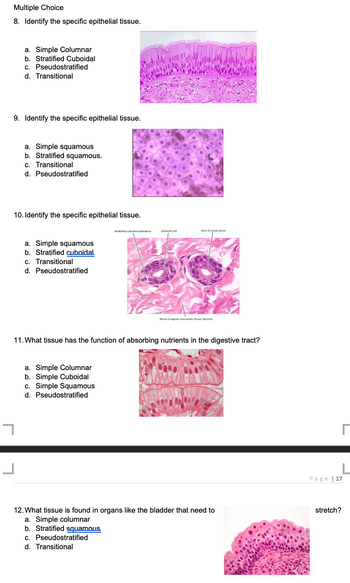 Answered: 8. Identify The Specific Epithelial… | Bartleby