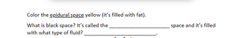 Color the epidural space yellow (it's filled with fat).
What is black space? It's called the
with what type of fluid?
space and it's filled