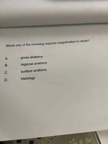 Answered: The Branch Of Anatomy That Traces… | Bartleby