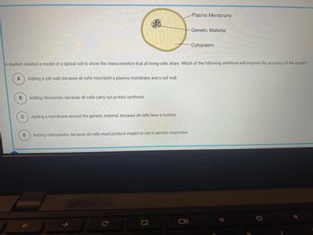 A
B
A student created a model of a typical cell to show the characteristics that all living cells share. Which of the following additions will improve the accuracy of the model?
Adding a cell wall, because all cells have both a plasma membrane and a cell wall
C
D
Adding ribosomes, because all cells carry out protein synthesis
Adding a membrane around the genetic material, because all cells have a nucleus
Adding chloroplasts, because all cells must produce oxygen to use in aerobic respiration
Plasma Membrane
Oll
Genetic Material
Cytoplasm