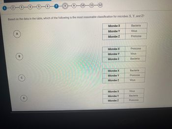 Based on the data in the table, which of the following is the most reasonable classification for microbes X, Y, and Z?
A
11-12
B
Microbe X
Microbe Y
Microbe Z
Microbe X
Microbe Y
Microbe Z
Microbe X
Microbe Y
Microbe Z
Microbe X
Microbe Y
Microbe Z
Bacteria
Virus
Protozoa
Protozoa
Virus
Bacteria
Bacteria
Protozoa
Virus
Virus
Bacteria
Protozoa