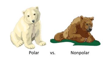 Polar
VS.
Nonpolar