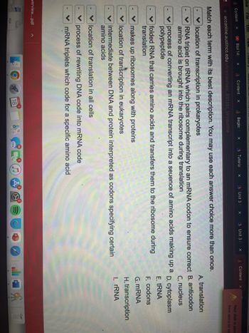 me
e
File
Content
911
Edit
verview....pdf
X
PDF
view Histor
Biol 140
X
Doordena
Content
acconline.austincc.edu/ultra/courses/_891351_1/cl/outline
X
Begin:
X
O
Tutorial
X
Match each term with its best description. You may use each answer choice more than once.
location of transcription in prokaryotes
RNA triplet on tRNA which pairs complementary to an mRNA codon to ensure correct
amino acid is brought into the ribosome during translation
18
Unit 3
X
location of translation in all cells
process of rewriting DNA code into mRNA code
mRNA triplets which code for a specific amino acid
Unit 3 ( x
process of converting an mRNA transcript into a seuence of amino acids making up a
polypeptide
folded RNA that carries amino acids and transfers them to the ribosome during
translation
makes up ribosomes along with proteins
location of transcription in eukaryotes
intermediate between DNA and protein interpreted as codons specifying certain
amino acids
Content
Your disk is alme
Save space by op
A. translation
B. anticodon
C. nucleus
D. cytoplasm
E. tRNA
F. codons
G: mRNA
H. transcription
I. rRNA