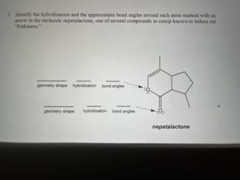 3. Identify the hybridization and the approximate bond angles around each atom marked with an
arrow in the molecule nepetalactone, one of several compounds in catnip known to induce cat
"friskiness."
geometry shape hybridization bond angles
geometry shape hybridization bond angles
nepetalactone