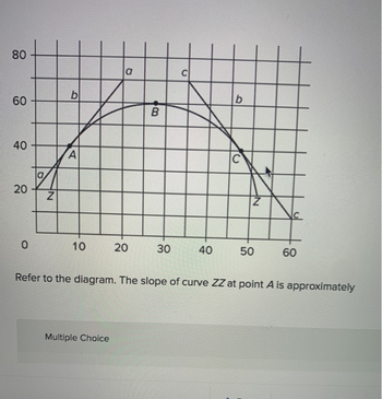 80
60
40
20
0
a
N
b
A
10
a
Multiple Choice
20
B
30
C
40
b
C
NE
50
60
Refer to the diagram. The slope of curve ZZ at point A is approximately