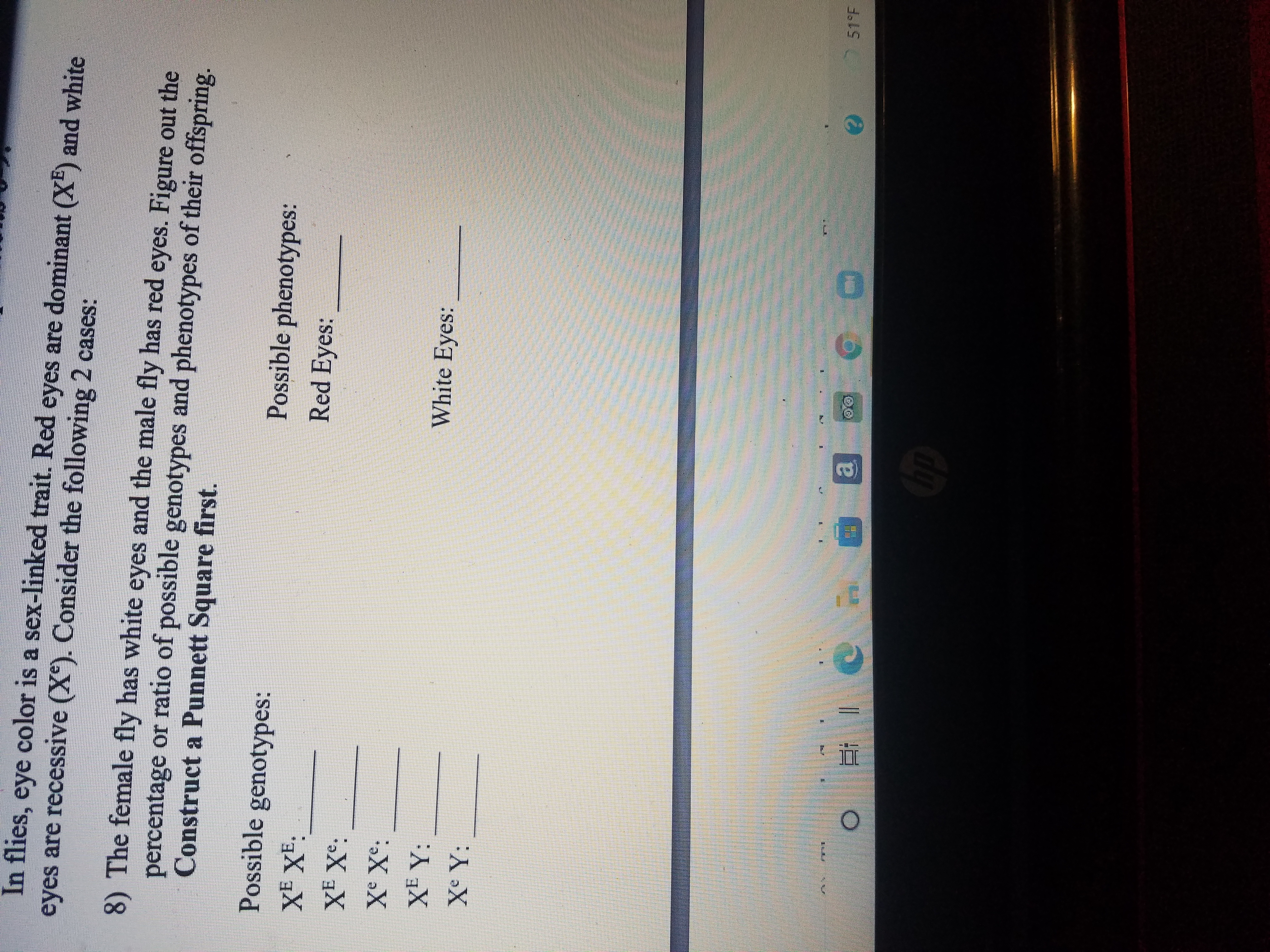 In flies, eye color is a sex-linked trait. Red eyes are dominant (XE) and white
eyes are recessive (X). Consider the following 2 cases:
8) The female fly has white eyes and the male fly has red eyes. Figure out the
percentage or ratio of possible genotypes and phenotypes of their offspring.
Construct a Punnett Square first.
Possible genotypes:
Possible phenotypes:
XE XE:
Red Eyes:
XE X°:
Xe X°:
XE Y:
White Eyes:
Xe Y:
751°F
