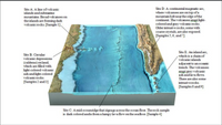 Site D: A continental magmatic arc,
where volcanoes are on top of a
mountain belt nearthe edge ofthe
continent. The volcanoes erupt light-
colored and gray volcanic rocks.
Older intrusive rocks, some with
coarse crystals, are also exposed.
[Samples 5,6, and 7]
Site A: A line of volcanic
islands and submarine
mountains. Broadvolcanoes on
the islands are foming dark
volcanic rocks. [Sample 1].
Site E: An island arc,
Site B: Circular
volcanic depressions
(calderas) on land,
which are filled with
light-colored volcanic
ash and light-colored
volcanic rocks.
which is a chain of
volcanic islands
adjacent to an ocearic
trench. The volcanoes
erupt gray volcanic
ash andlava flows.
There are also some
[Samples 2 and 3]
intrusive rocks.
[Samples 8 and 9]
Site C: A mid-oceanridge that zigzags across the ocean floor. The rock sample
is dark colored andis from a lumpy lava flow on the seafloor. [Sample 4]
