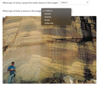 What type of stress caused the faults shown in this image? [ Select]
What type of fault is shown in the image v [ Select ]
normal
reverse
thrust
strike-slip
