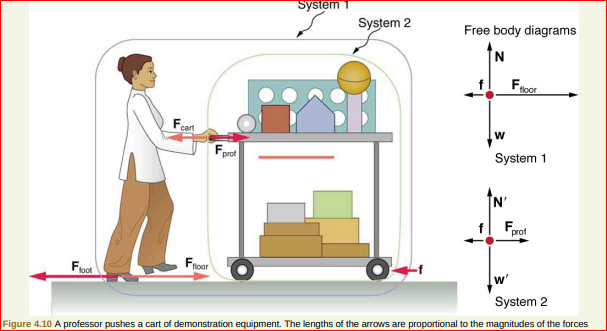 System
System 2
Free body diagrams
Froor
Fcart
Fore
prof
System 1
prof
Fock
floor
w'
System 2
Figure 4.10 A professor pushes a cart of demonstration equipment. The lengths of the arrows are proportional to the magnitudes of the forces
