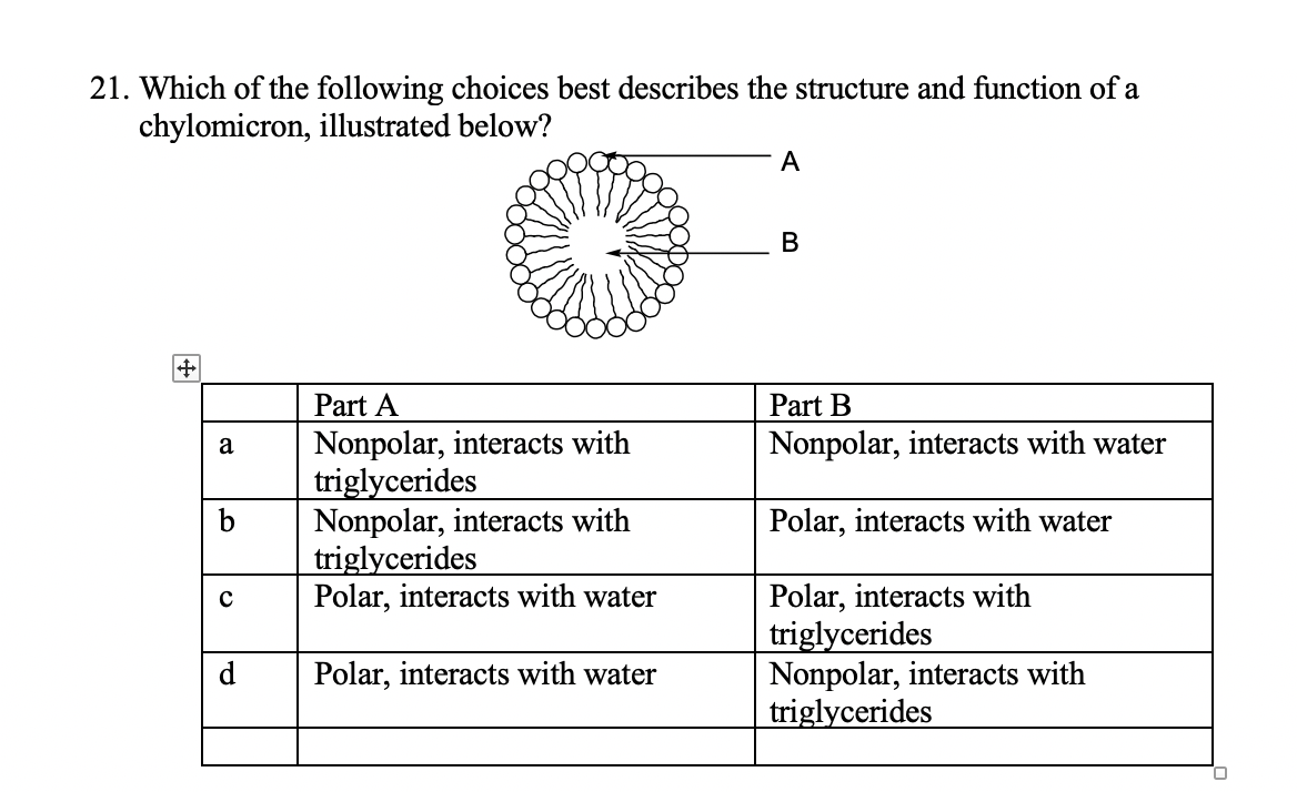 cheap descriptive essay proofreading service us