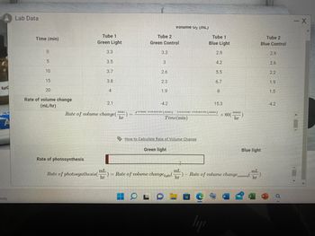 A Lab Data
NaHC
1
budy
volume U₂ (ML)
Tube 1
Green Light
3.3
3.5
3.7
3.8
4
2.1
H
June
cre
Rate of volume change(-
hr
Time(min)
How to Calculate Rate of Volume Change
Green light
Rate of photosynthesis
mL
Rate of photosynthesis ( -) = Rate of volume change light
mL
hr
hr
Time (min)
0
5
10
15
20
Rate of volume change
(mL/hr)
Tube 2
Green Control
3.3
3
2.6
2.3
1.9
-4.2
Tube 1
Blue Light
2.9
4.2
5.5
6.7
8
15.3
шп
hr
× 60(¹
Tube 2
Blue Control
2.9
2.6
2.2
1.9
1.5
-4.2
Blue light
mL
hr
Rate of volume change covered
liji
- X