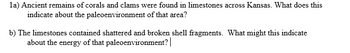 la) Ancient remains of corals and clams were found in limestones across Kansas. What does this
indicate about the paleoenvironment of that area?
b) The limestones contained shattered and broken shell fragments. What might this indicate
about the energy of that paleoenvironment? |
