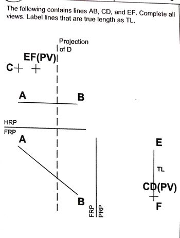 Answered: The following contains lines AB, CD,… | bartleby