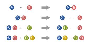 The image illustrates four different types of chemical reactions using a visual representation of molecules composed of colored spheres labeled with letters.

1. **Synthesis Reaction:**
   - Left Side: A single blue sphere labeled "A" and a single red sphere labeled "B" are shown separately with a plus sign between them.
   - Right Side: The spheres "A" and "B" are shown connected together.
   - Description: This diagram represents a synthesis reaction where two or more simple substances combine to form a more complex compound (A + B → AB).

2. **Decomposition Reaction:**
   - Left Side: A molecule composed of a blue sphere "A" and a red sphere "B" connected together.
   - Right Side: The spheres "A" and "B" are separate with a plus sign between them.
   - Description: This diagram shows a decomposition reaction where a complex molecule breaks down into simpler parts (AB → A + B).

3. **Single Replacement Reaction:**
   - Left Side: A molecule with a blue sphere "A" and red sphere "B" connected, along with a separate green sphere "C".
   - Right Side: The blue sphere "A" is now connected to the green sphere "C" with the red sphere "B" shown separately.
   - Description: This diagram illustrates a single replacement reaction where one element replaces another in a compound (AB + C → AC + B).

4. **Double Replacement Reaction:**
   - Left Side: Two molecules: one with a blue sphere "A" and red sphere "B" connected, and another with green sphere "C" and yellow sphere "D" connected.
   - Right Side: The blue sphere "A" is now connected to the yellow sphere "D", and the green sphere "C" is connected to the red sphere "B".
   - Description: This diagram depicts a double replacement reaction in which components of two compounds exchange places to form two new compounds (AB + CD → AD + CB).

These illustrations provide a clear visual representation of basic chemical reactions, helping to understand how atoms or groups of atoms rearrange during chemical processes.