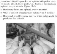 James has 250,000 layers that he replaces with pullets every
16 months at $11.25 per pullet. One fourth of the layers are
replaced every 4 months (Figure 15-2).
a. How many layers are replaced every 4 months?
b. What is the cost of replacement pullets every 4 months?
c. How much would be saved per year if the pullets could be
purchased for $11.00?
