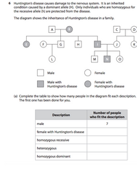 6 Huntington's disease causes damage to the nervous system. It is an inherited
condition caused by a dominant allele (H). Only individuals who are homozygous for
the recessive allele (h) are protected from the disease.
The diagram shows the inheritance of Huntington's disease in a family.
A
F
G
H
K
M
N
Male
Female
Male with
Female with
Huntington's disease
Huntington's disease
(a) Complete the table to show how many people in the diagram fit each description.
The first one has been done for you.
Number of people
who fit the description
Description
male
7
female with Huntington's disease
homozygous recessive
heterozygous
homozygous dominant
