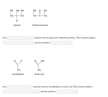 A(n)
A(n)
OH OH OH
T | |
CH₂-C-CH₂
T
H
Glycerol
-I
O=
с
H
CH₂
Acetaldehyde
OH O OH
|
CH₂-C-CH₂
Dihydroxyacetone
reaction converts glycerol to dihydroxyacetone. This reaction requires
and also produces
O=
C
OH
CH3
Acetic acid
reaction converts acetaldehyde to acetic acid. This reaction requires
and also produces