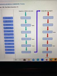 IOVASCULAR MODULE HOMEWORK / Practice
ise 17B, Test Bank Question 15
Superior or inforior vena cava
Lungs (pick up oxygen)
Left ventricle
Right and let
pulmonary veins
Right atrum
Valve
Right and lett
puimonary arteries
Thcuspt
Valve
Pumonary semiunar
(SL)
Right ventricie
Valve
Aortic
unar (y
Aorta
Trunk
Valve
Pulnonary
Left aum
To bodv
L
