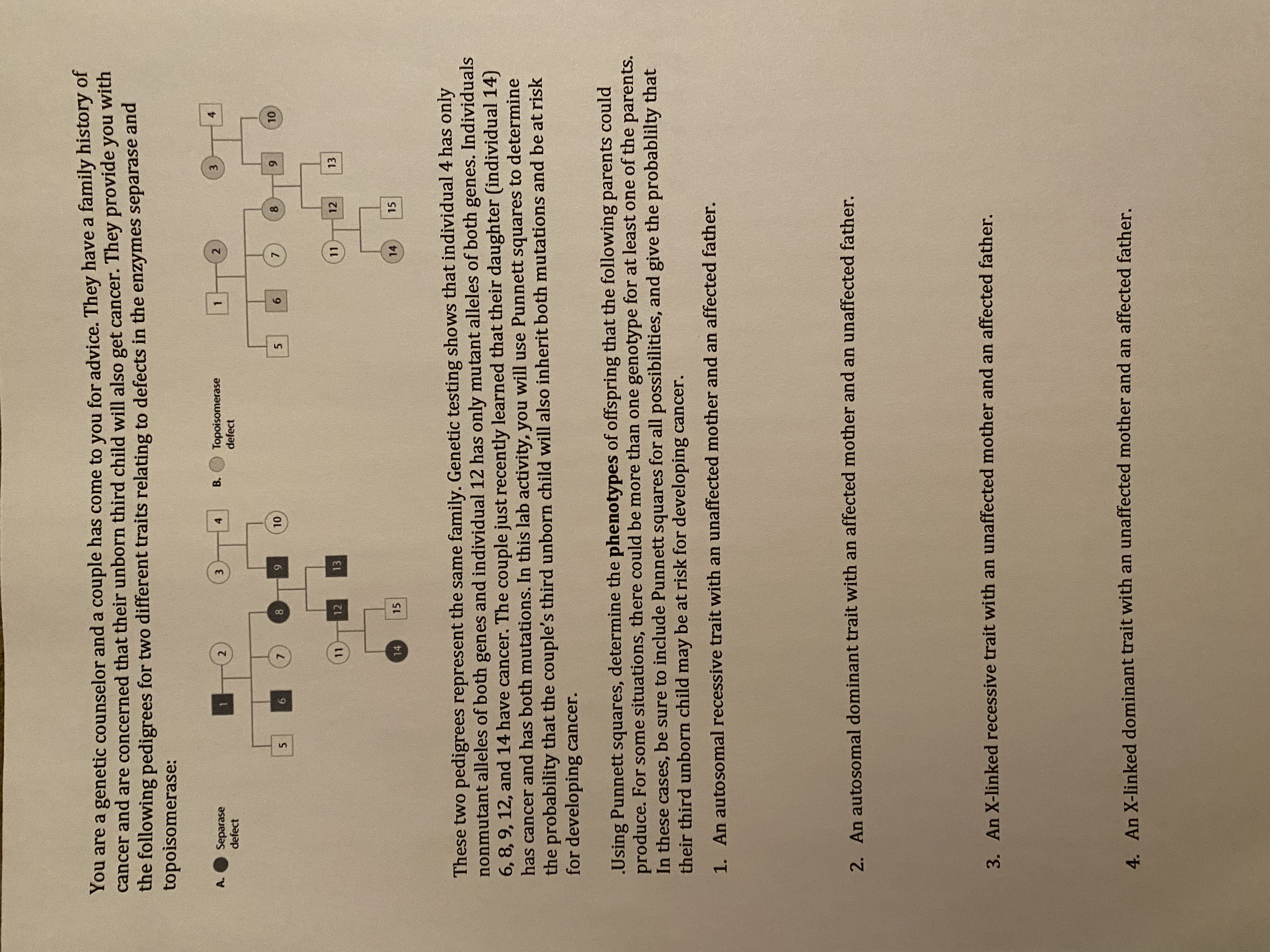 13
3.
8.
3.
8
You are a genetic counselor and a couple has come to you for advice. They have a family history of
cancer and are concerned that their unborn third child will also get cancer. They provide you with
the following pedigrees for two different traits relating to defects in the enzymes separase and
topoisomerase:
A.
Separase
defect
B.
Topoisomerase
defect
4
2
1.
4.
6.
6.
9.
6.
5.
5.
11
12
13
11
12
14
15
14
15
These two pedigrees represent the same family. Genetic testing shows that individual 4 has only
nonmutant alleles of both genes and individual 12 has only mutant alleles of both genes. Individuals
6, 8, 9, 12, and 14 have cancer. The couple just recently learned that their daughter (individual 14)
has cancer and has both mutations. In this lab activity, you will use Punnett squares to determine
the probability that the couple's third unborn child will also inherit both mutations and be at risk
for developing cancer.
.Using Punnett squares, determine the phenotypes of offspring that the following parents could
produce. For some situations, there could be more than one genotype for at least one of the parents.
In these cases, be sure to include Punnett squares for all possibilities, and give the probablilty that
their third unborn child may be at risk for developing cancer.
1. An autosomal recessive trait with an unaffected mother and an affected father.
2. An autosomal dominant trait with an affected mother and an unaffected father.
3. An X-linked recessive trait with an unaffected mother and an affected father.
4. An X-linked dominant trait with an unaffected mother and an affected father.
