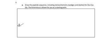 1.
H3N
a. Draw the peptide sequence, including stereochemistry (wedges and dashes) for Glu-Cys-
Gly. The N-terminus is drawn for you as a starting point.