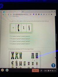 G Human Karyotyping Gizmo : Exp X
A explorelearning.com/inde...
U D. karyotype u
2. In order from left to right, to which groups do the chromosomes shown belong?
O A. group A, group C, group D, group G
O B. group G, group A, group D, group C
O C. group G, group A, group C, group D
O D. group A, group G, group D, group C
3. Describe an individual with the karyotype shown.
8.
10
11
12
Sign out
INTL 2
6:14
