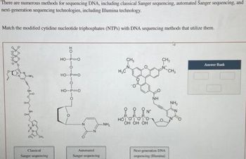 There are numerous methods for sequencing DNA, including classical Sanger sequencing, automated Sanger sequencing, and
next-generation sequencing technologies, including Illumina technology.
Match the modified cytidine nucleotide triphosphates (NTPs) with DNA sequencing methods that utilize them.
Classical
Sanger sequencing
HO-P=O
O
HO-P=O
O
HO-P=O
O
Automated
Sanger sequencing
-NH₂
CH3
H₂CN
° ? ?N
HOOOO
OH OH OH
NH
CH₂
Next-generation DNA
sequencing (Illumina)
CH₂
NH₂
Answer Bank