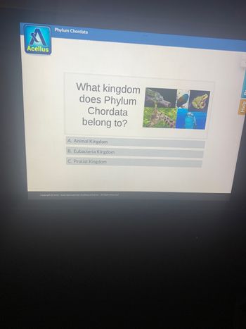 Acellus
Phylum Chordata
What kingdom
does Phylum
Chordata
belong to?
A. Animal Kingdom
B. Eubacteria Kingdom
C. Protist Kingdom
Copyright © 2003-2022 International Academy of Science. All Rights Reserved.
Help R