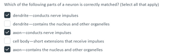 Which of the following parts of a neuron is correctly matched? (Select all that apply)
dendrite-conducts nerve impulses
dendrite-contains the nucleus and other organelles
axon-conducts nerve impulses
cell body-short extensions that receive impulses
axon-contains the nucleus and other organelles