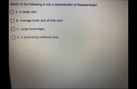 Which of the following is not a characteristic of Neanderthals?
O A. A weak chin
O B. Average braln size of 930 cm3
O C. Large browridges
O D. A protruding midfacial area
