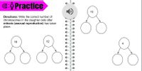 G: Practice
10
Directions: Write the correct number of
chromosomes in the daughter cells after
mitosis (asexual reproduction) has taken
place.
16
12
