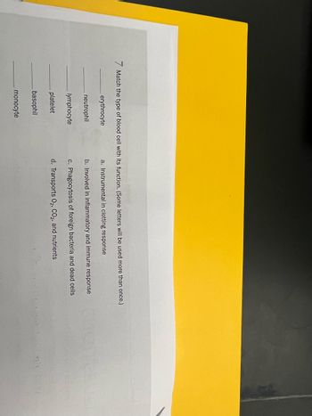 Match the type of blood cell with its function. (Some letters will be used more than once.)
erythrocyte
a. Instrumental in clotting response
neutrophil
b. Involved in inflammatory and immune response
lymphocyte
c. Phagocytosis of foreign bacteria and dead cells
platelet
d. Transports O₂, CO2, and nutrients
basophil
monocyte
wr