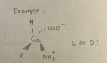 Example:
H
R
11' COO-
Ca
↓
NH3
L or D?