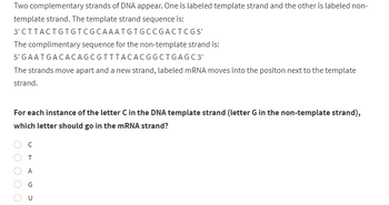 Two complementary strands of DNA appear. One is labeled template strand and the other is labeled non-
template strand. The template strand sequence is:
3'CTTACTGTGTCGCAAATGTGCC
GACTCG5'
The complimentary sequence for the non-template strand is:
5' GAATGACACAGCGTTTACACGG
CTGAGC3'
The strands move apart and a new strand, labeled mRNA moves into the positon next to the template
strand.
For each instance of the letter C in the DNA template strand (letter G in the non-template strand),
which letter should go in the mRNA strand?
O
T
A
D