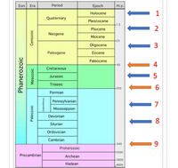 Answered: In the geologic time scale drawn below,… | bartleby