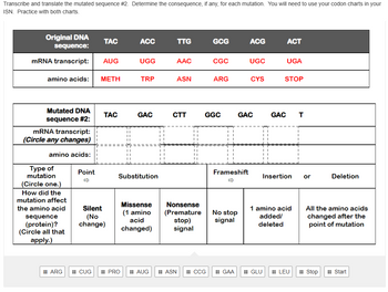 Answered: Transcribe and translate the mutated… | bartleby