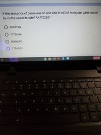 If this sequence of bases was on one side of a DNA molecule, what would
be on the opposite side? AAATCGG *
CCCATGG
TTTGCAA
UUUAGCC
TTTAGCC
Sign out
Lenovo
esc
@
#
7
8.
9.
1
2
3
4
e
r
y
u
tab
d
f
g.
a
C
alt
ctr
alt
