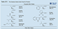 Table 27.1 The Common Amino Acids Found in Proteins
Watch a video
explanation
Nonpolar Side Chains
CO
COO
Alanine
Phenylalanine
(Phe, F)
(Ala, A)
NH,*
NH,*
COO
Glycine
(Gly, G)
NH,+
Proline
COO
(Pro, P)
H
H.
COO
Isoleucine
(Ile, I)
COO-
ÑH,*
NH,+
Tryptophan
(Trp, W)
COO
Leucine
(Leu, L)
H
NH,+
COO
Methionine
.COO
Valine
H3C
(Val, V)
(Met, M)
NH,+
NH,+
Polar Side Chains
