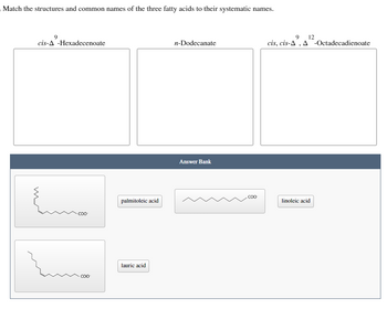 **Activity: Matching Fatty Acids by Structure and Common Names**

**Objective:** Match the structures and common names of the three fatty acids to their systematic names.

**Systematic Names:**
1. **cis-Δ⁹-Hexadecenoate**
2. **n-Dodecanate**
3. **cis, cis-Δ⁹, Δ¹²-Octadecadienoate**

**Answer Bank:**
- **Structures:**
  - Structure 1: A zigzag line with one double bond, ending in a carboxylate group (COO⁻).
  - Structure 2: A linear zigzag line with single bonds, also ending in a carboxylate group (COO⁻).
  - Structure 3: A zigzag line with two double bonds, ending in a carboxylate group (COO⁻).

- **Common Names:**
  - Palmitoleic acid
  - Lauric acid
  - Linoleic acid

**Instructions:** Match each structure to its corresponding systematic name and common name by understanding the bonding patterns:
- **cis-Δ⁹-Hexadecenoate** is likely **palmitoleic acid** (Structure 1).
- **n-Dodecanate** is likely **lauric acid** (Structure 2).
- **cis, cis-Δ⁹, Δ¹²-Octadecadienoate** is likely **linoleic acid** (Structure 3).

Use this information to correctly pair each fatty acid structure with its name.