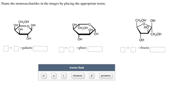 **Transcription for Educational Website**

---

**Identify the Monosaccharides**

In the images below, name the monosaccharides by placing the appropriate terms in the spaces provided.

**Images and Chemical Structures:**

1. **First Structure (Left):**  
   - This structure features a six-membered carbon ring with an attached hydroxyl group (OH) and a CH₂OH group. The position of the hydroxyl groups indicates a typical monosaccharide structure.

2. **Second Structure (Middle):**  
   - This structure is another six-membered carbon ring. It also presents a CH₂OH group and several hydroxyl groups (OH) placed at different positions.

3. **Third Structure (Right):**  
   - This structure displays a five-membered ring with a CH₂OH group outside the ring. It includes hydroxyl groups arranged around the carbon atoms of the ring.

**Terms to Identify the Monosaccharides:**

- **Answer Bank:**
  - D, α, L, furanose, β, pyranose

**Spaces for Answering:**

1. **[ ] - [ ] -galacto [ ]**

2. **[ ] - [ ] -gluco [ ]**

3. **[ ] - [ ] -fructo [ ]**

To correctly name each monosaccharide, analyze the structure type and the configuration of hydroxyl groups by using the terms provided in the Answer Bank.

--- 

This educational activity helps in understanding the structural differences between monosaccharides and how their configurations alter their naming.