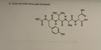 9. Circle and name three polar functional
H&C.
H&C CH
OH
OH